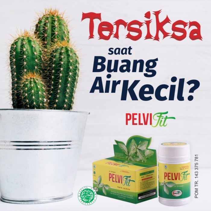 PELVIFIT 100% OBAT HERBAL HANCURKAN BATU GINJAL DAN BATU EMPEDU TERMURAH
