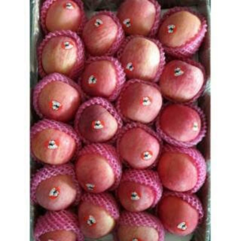 

APEL FUJI 1kg