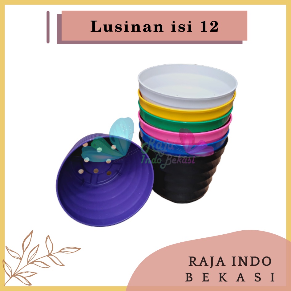 LUSINAN Pot King Mado 12 Warna Warni By Garden Of Love Pot Plastik Kaktus Mini Murah Lucu Mirip Pot Tawon 12 LUSINAN POT WARNA WARNI