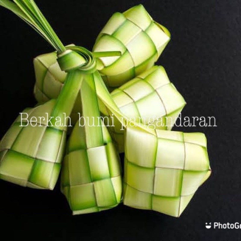 JANUR KELAPA | KETUPAT LEBARAN | JANUR KETUPAT