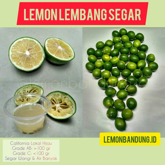 

Hijau - Jeruk Lemon California Lokal Segar