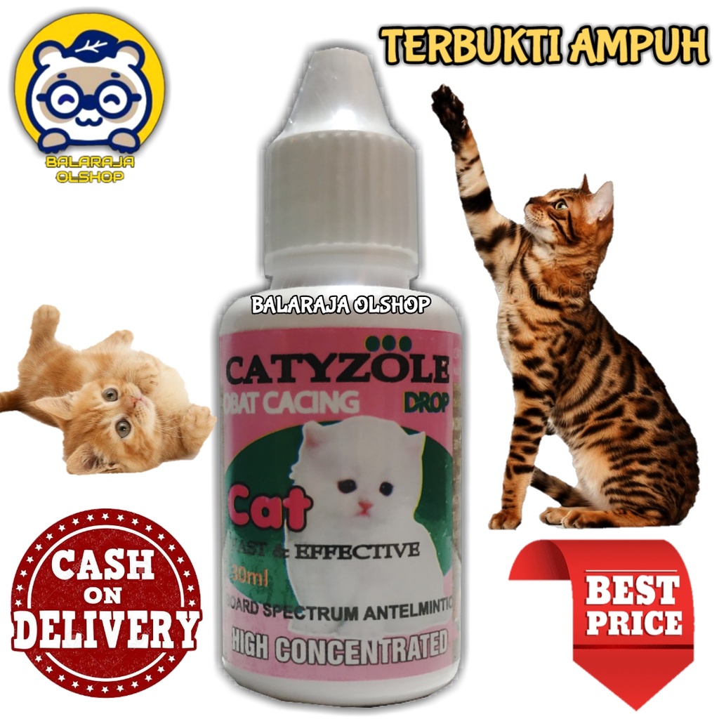 Obat Cacing Kucing Kitten - Catyzole 30 ml