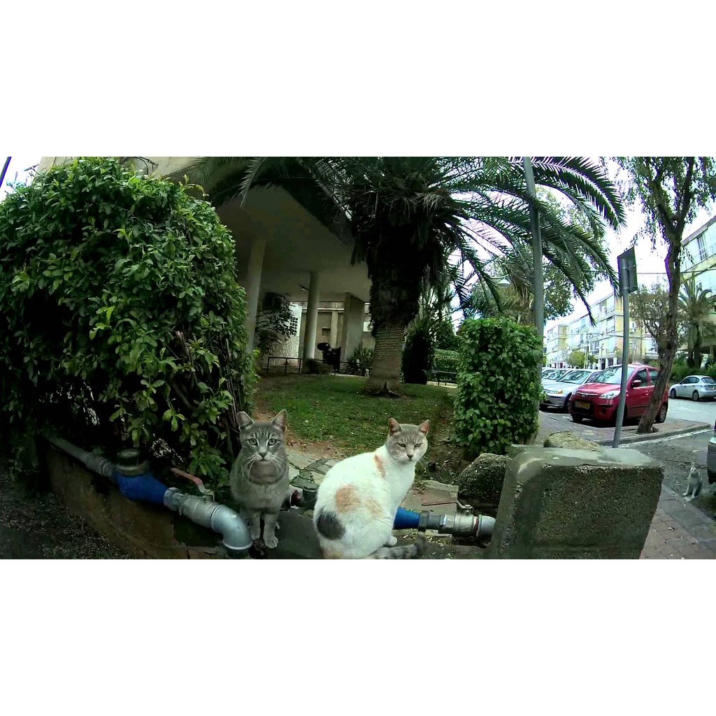 Original SJCAM - SJ5000+ 1080P WIFI AMBARELLA Panasonic 16MP+Monopod!