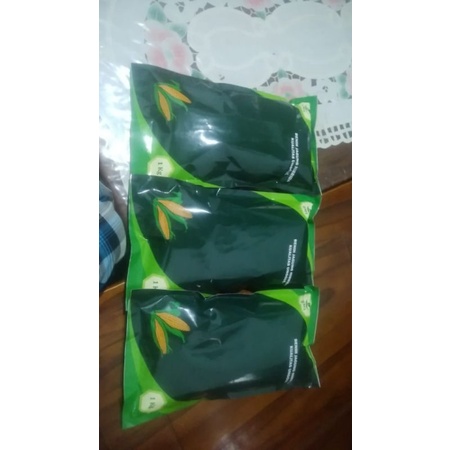 benih jagung hibrida