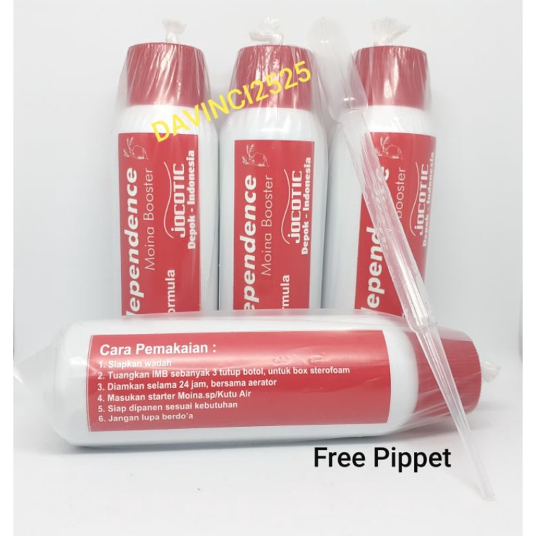 Artemia Independence Moina Booster Kultur Kutu air / Kutir / Daphina Magna / Pakan burayak ikan hias