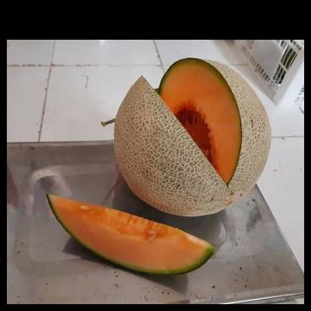 Melon Orange