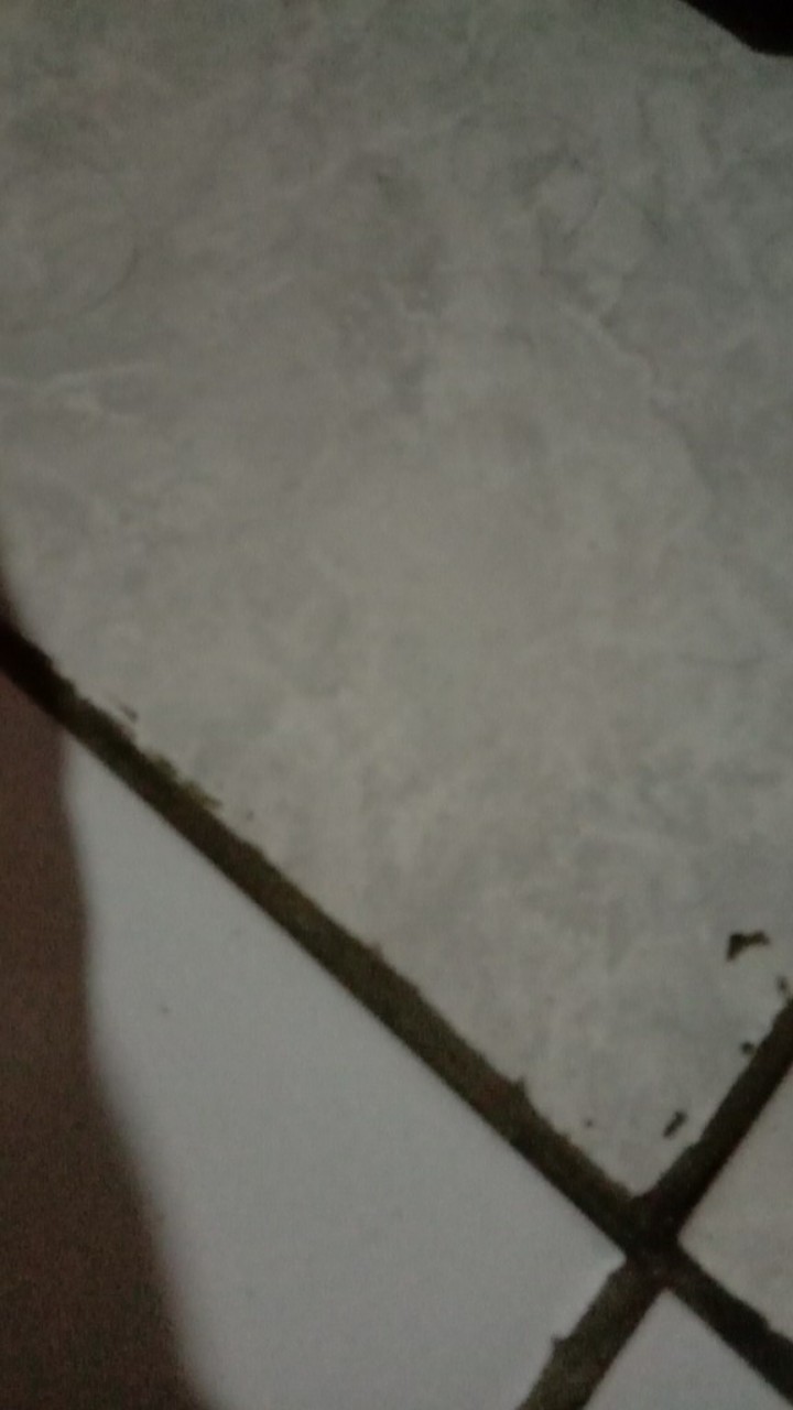 Kunci Gembok Hona 30 Mm Pendek / Gembok Leher Pendek