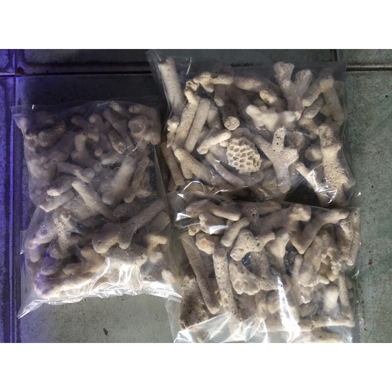 

Karang jahe 1/2kg