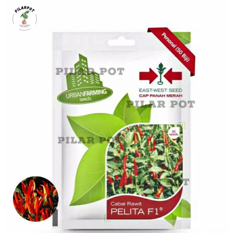 benih bibit cabai rawit pelita f1 cap panah merah - CABAI PELITA F1