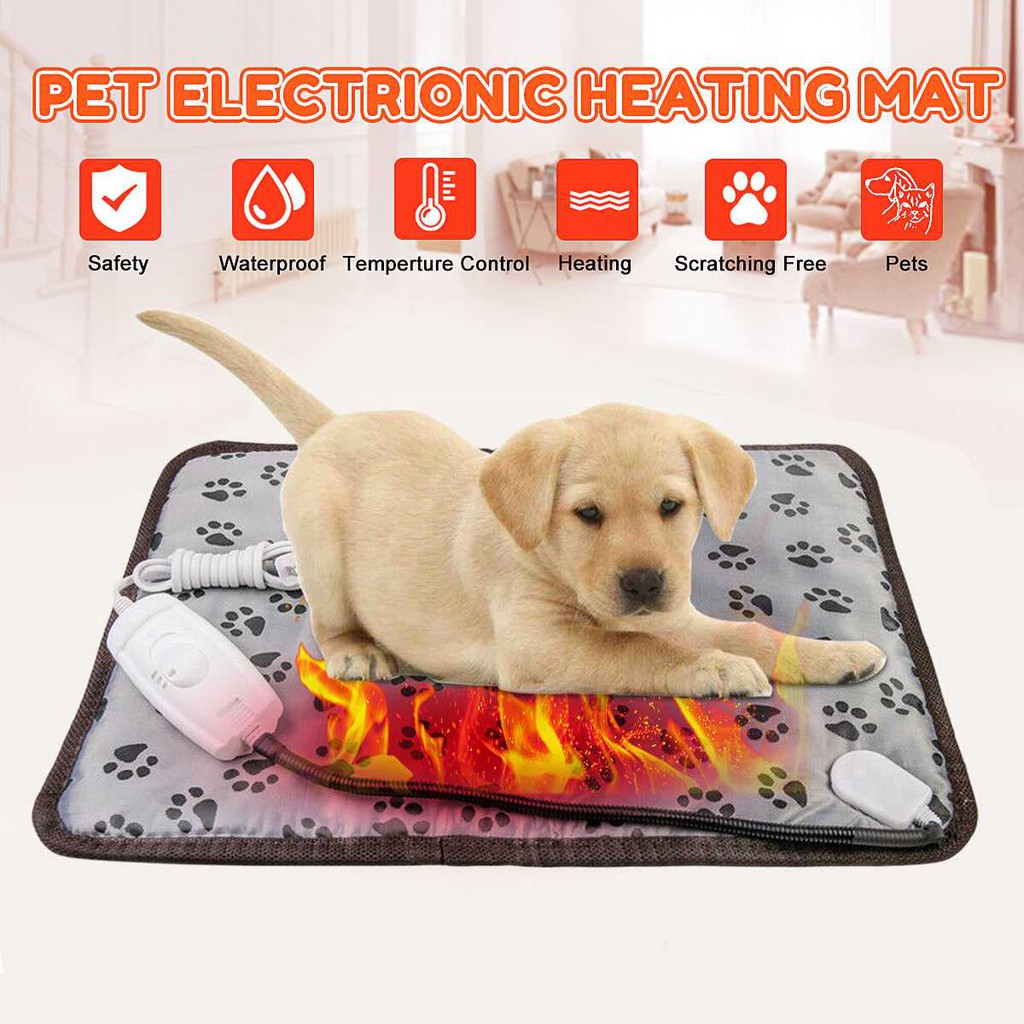Penghangat Ruangan Portable 220v Eu Plug Pet Electric Heating Penghangat Ruangan Portable 220v Eu Plug Pet Electric Heating