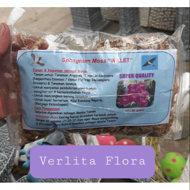 Media Tanam Anggrek Sphagnum Moss "Wallet"