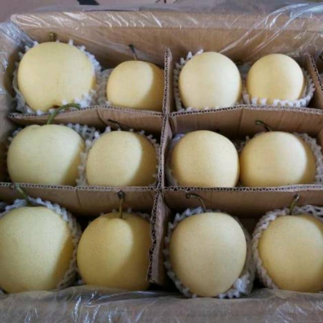 

Buah Pear Century Ganda Segar dan Sehat per Box (16-17kg) isi 60