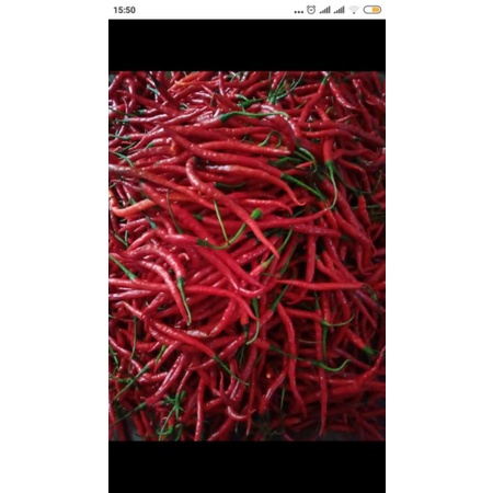 

Bahan Dapur