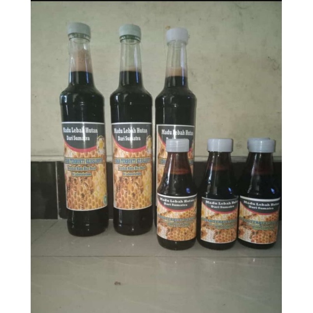 

madu asli dari hutan sumatra