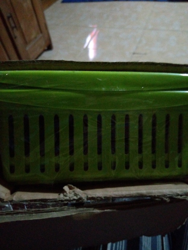 Tempat Bawang Lombok Hijau (tbl 1051 Golden Sunkist)