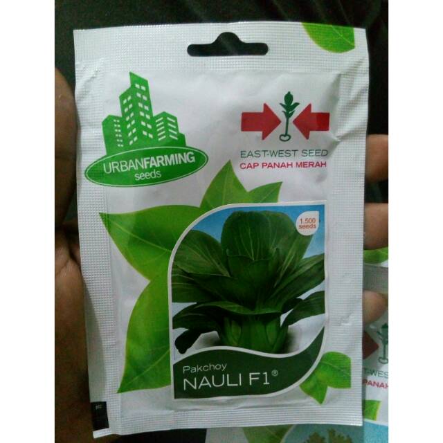Sawi pakcoy cap panah merah
