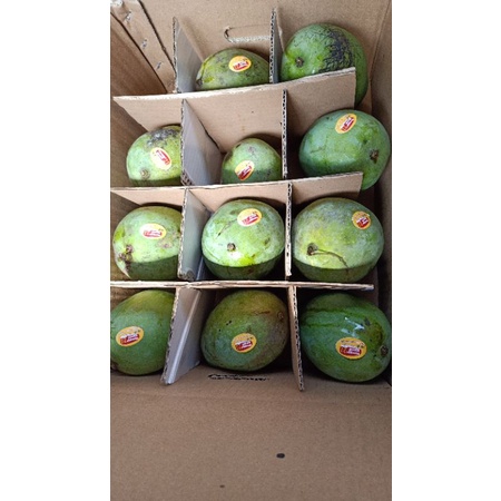 

MANGGA ALPUKAT ISI 5KG