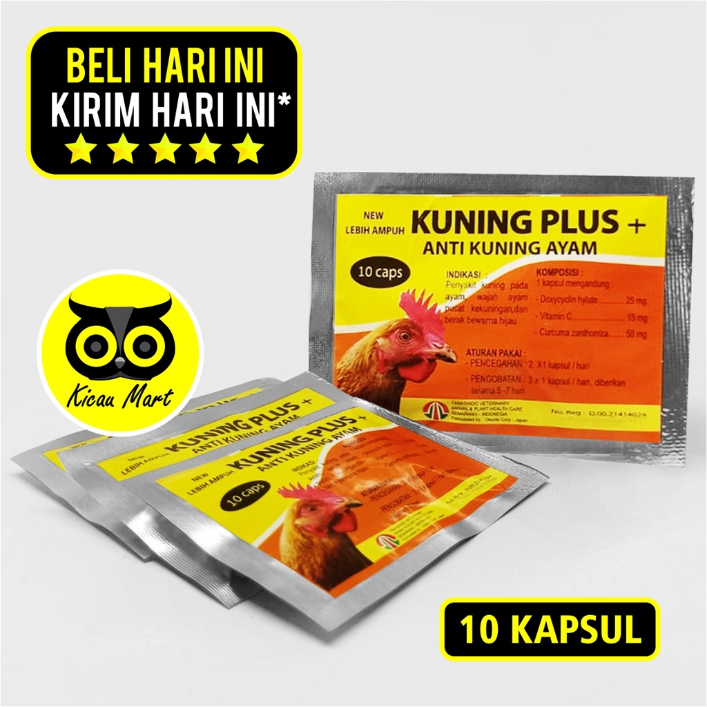 Obat Ayam Snot Kuning Plus Saset 10 Kapsul Obat Ayam Sakit Kuning Antibiotik Anti Kuning Ayam Berak Hijau Lemas Pucat Ngesup Vitamin Ayam Liver Plus Recovery Laga