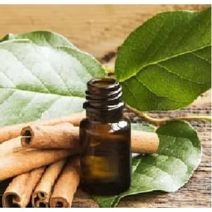 

Minyak Kayu Manis, Daun/ Cinnamon Leaf Oil
