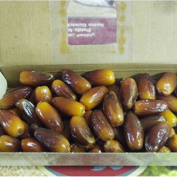 Kurma Madu 500GR TUNIS TUNISIA MADU Deglet Noor Non Tangkai Premium