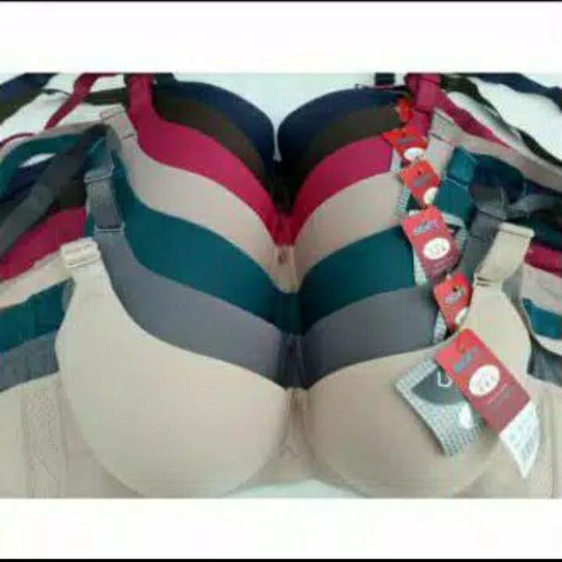 SCALEN | BH BIG CUP |SCALEN 8825