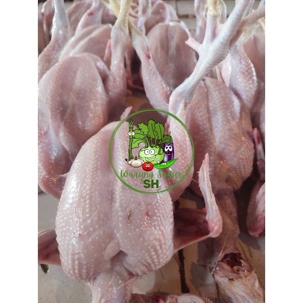 

Ayam boiler segar potong/utuh berat bersih 0.8 kg - 1.9 kg