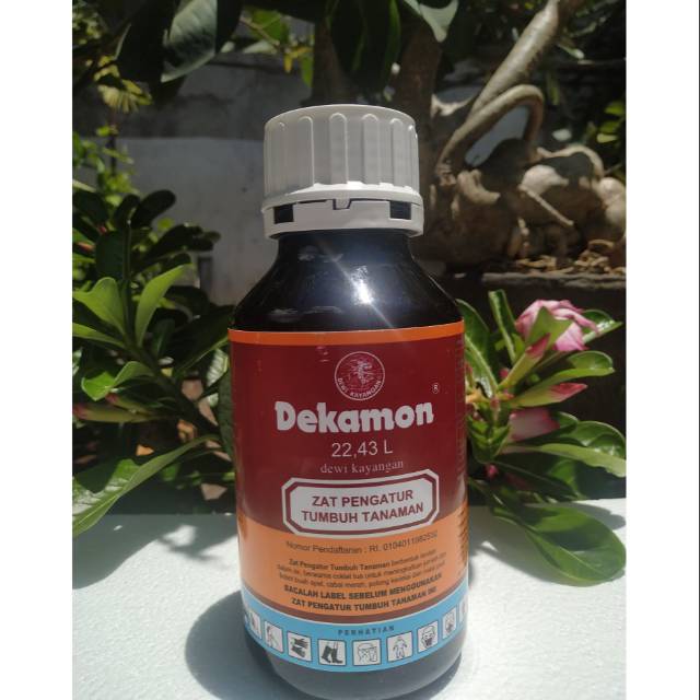 Dekamon 22 43l 500ml Zat Pengatur Tumbuh Tanaman Shopee Indonesia