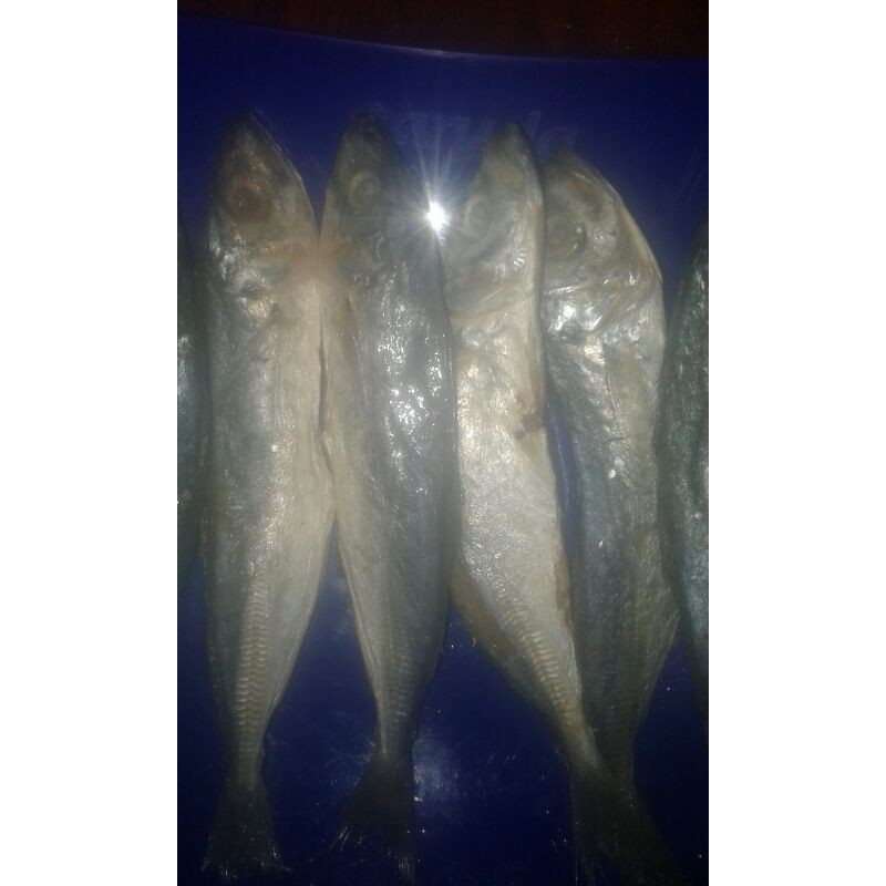 

ikan asin japuh