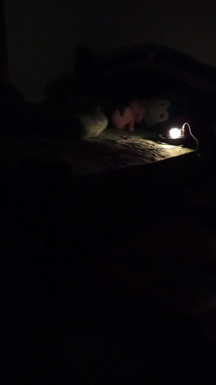 Atasan Batik Wanita Modern Seragaman Dolby Dolbi Dobby Doby Tenun Sutra Tulis Halus Katun Atbm