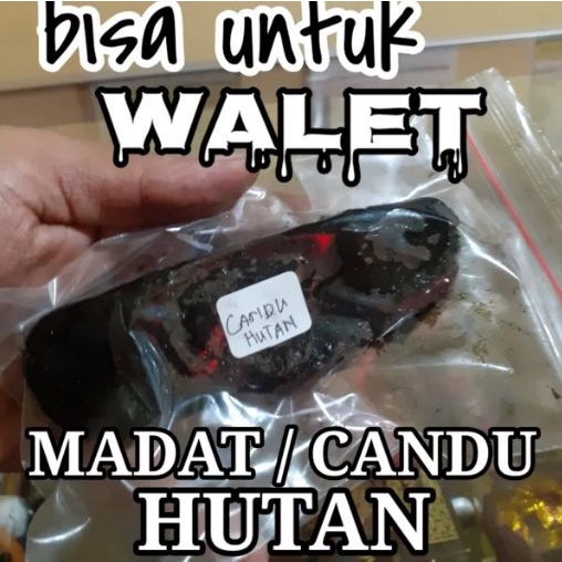 

Terlaris madat candut hutan 10gr murni original