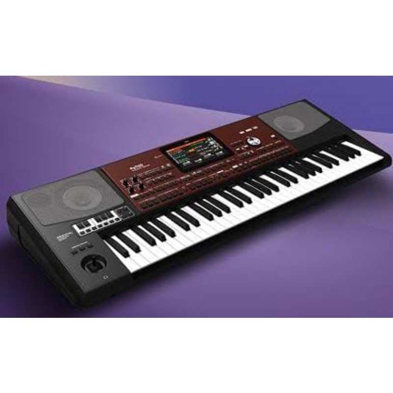 KORG PA 700 NEW