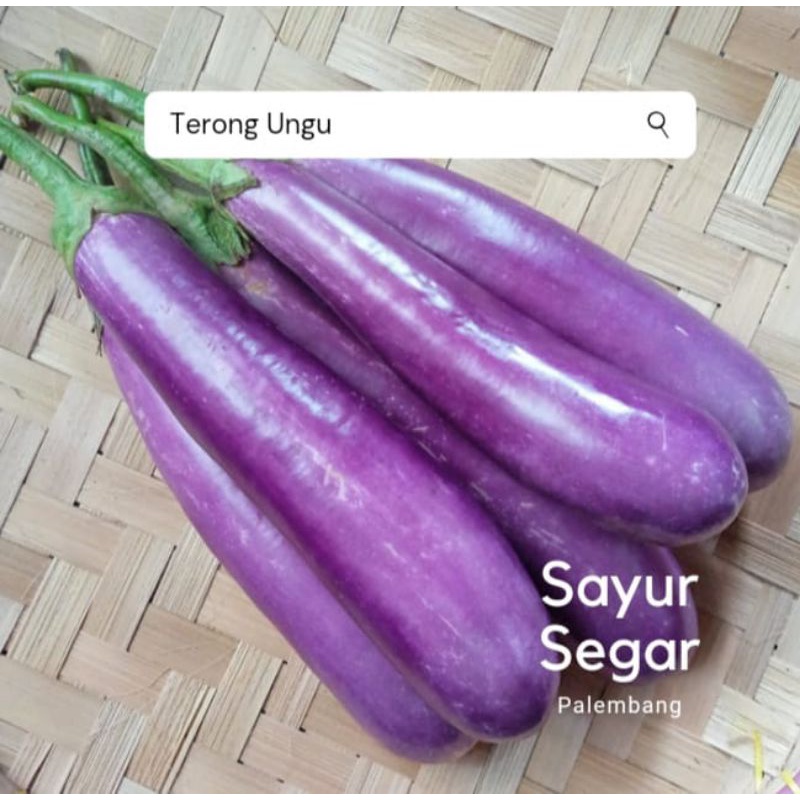 Jual Terong Ungu 500 Gr Sayur Segar Palembang Shopee Indonesia