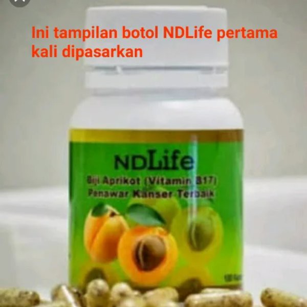 herbal NdLife kapsul biji Apricot