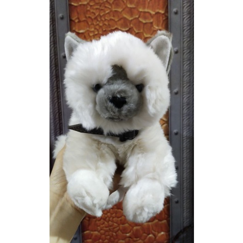 Boneka Kucing Anggora lying