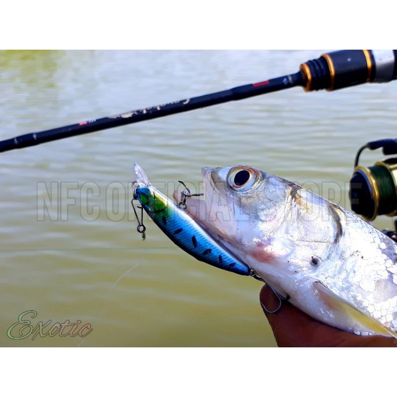 Minnow sinking 4,5gr / 6cm, Umpan casting dengan action KILLER