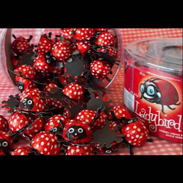 

Coklat elvan lady bird