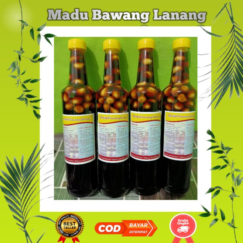 Madu Bawang Lanang - Madu Bawang Tunggal - Madu Bawang Putih Tunggal