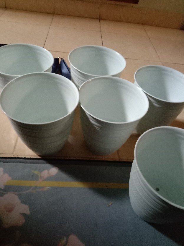 Pot Pirus 18 Cm Pot Tawon Pirus 18 Tirus