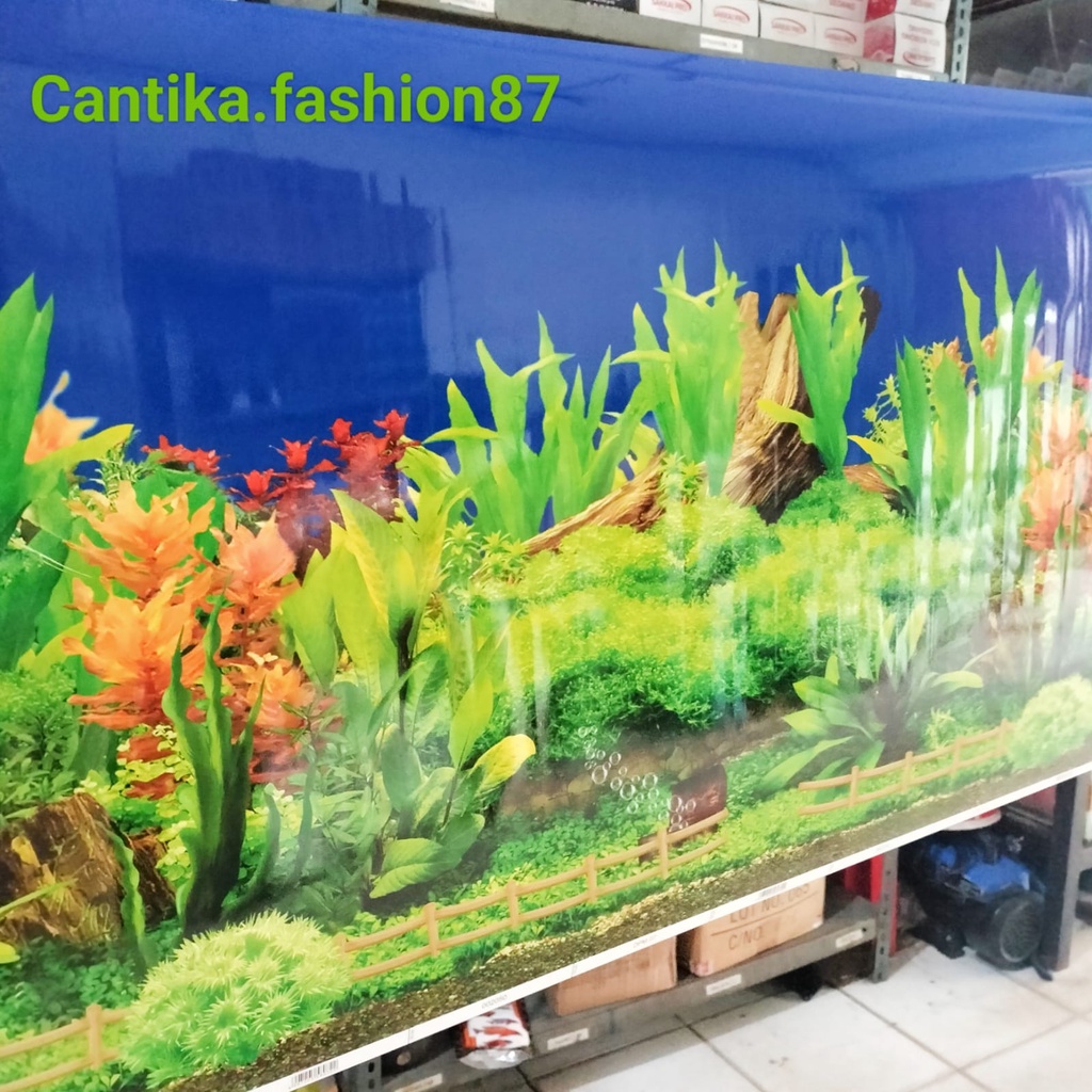 Jual Background Aquarium Gambar / Wallpaper Gambar 50cm Shopee Indonesia
