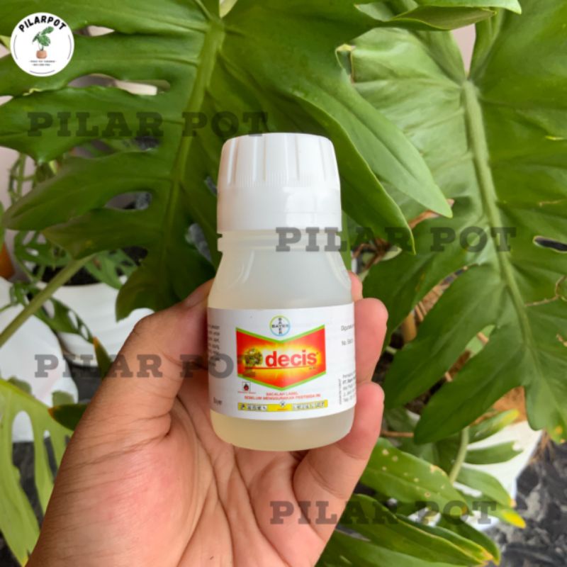 DECIS 25 EC 50 ML INSEKTIDISA PESTISIDA OBAT PEMBASMI HAMA BAYER - DECIS 50 ML KECIL