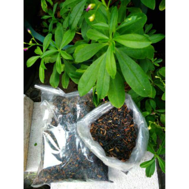 Sekam arang / sekam bakar