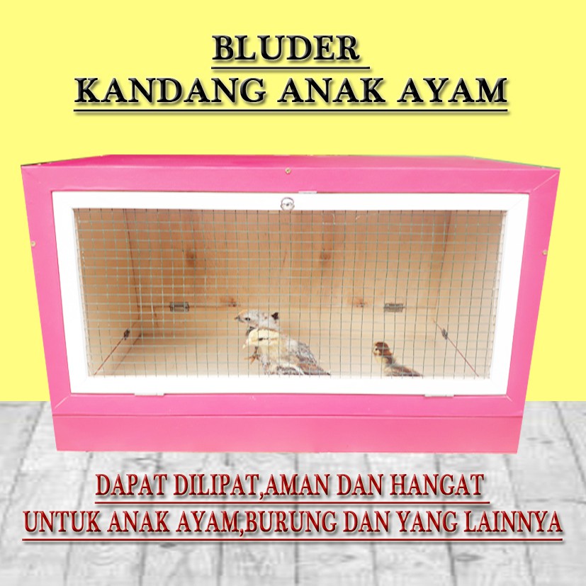 kandang anak ayam inkubator
