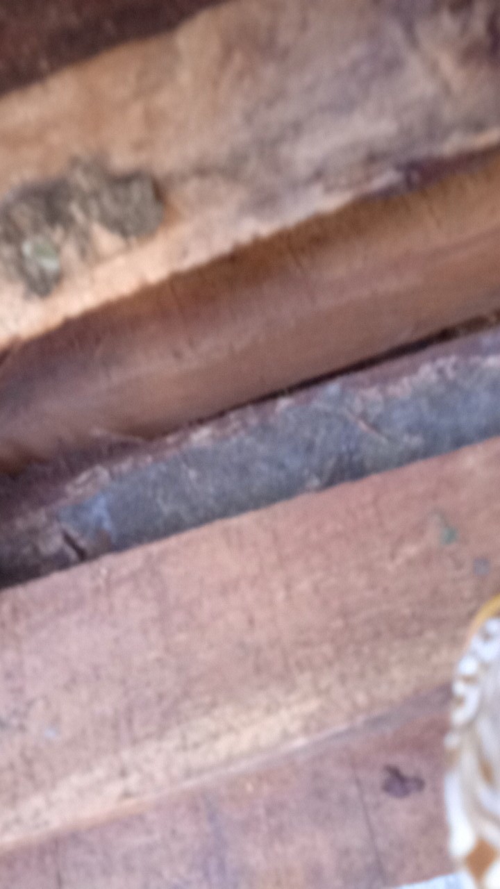 Kemeja Batik Pekalongan Terbaru Lengan Panjang Baju Pria Dewasa Terlaris Original Murah Bahan Katun