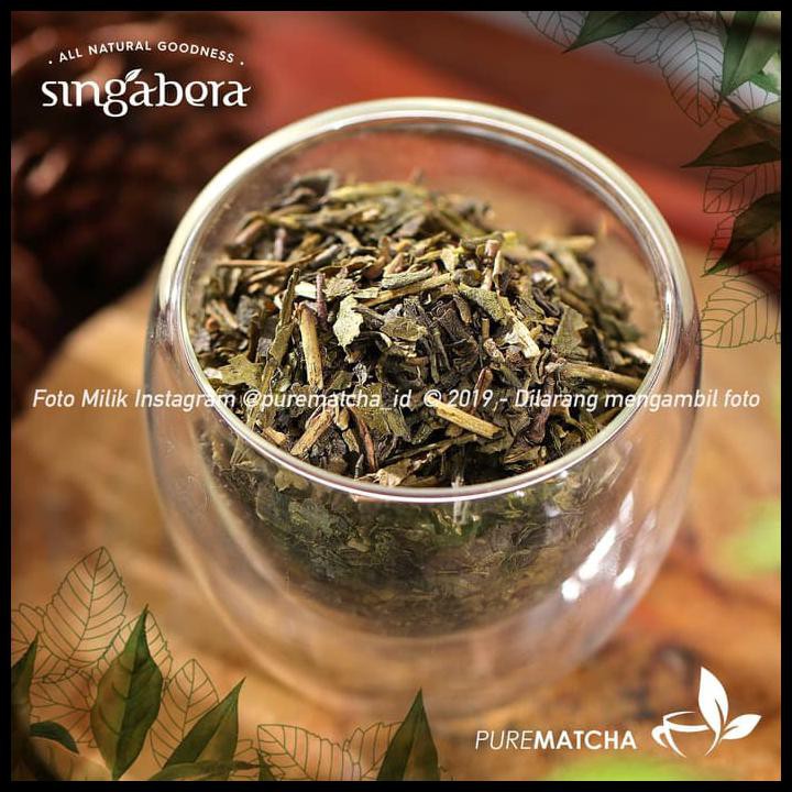 

Singabera - Marapi Houjicha 1Tb Sample Teh Hijau Sencha Greentea