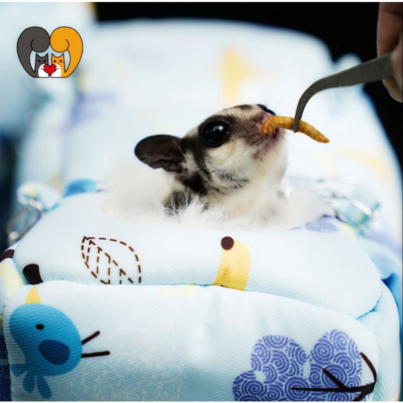 Sleeping Pouch Sugar Glider Tupai Hamster Marmut