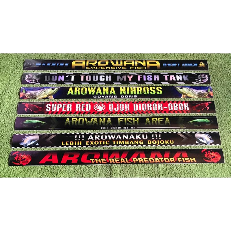 STIKER AKUARIUM IKAN AROWANA