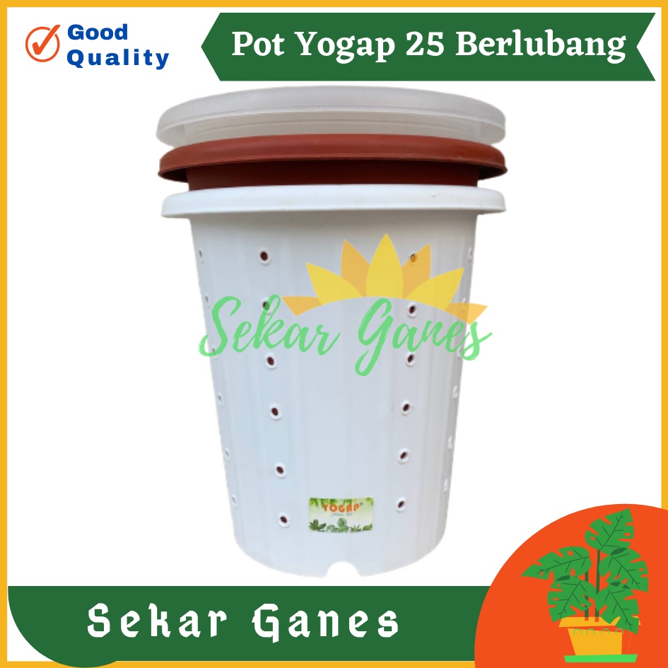 Sekarganes Pot Yogap YPT 25 Putih Bening Transparan Merah Bata Merah Coklat Terracota Terracotta  Berlubang