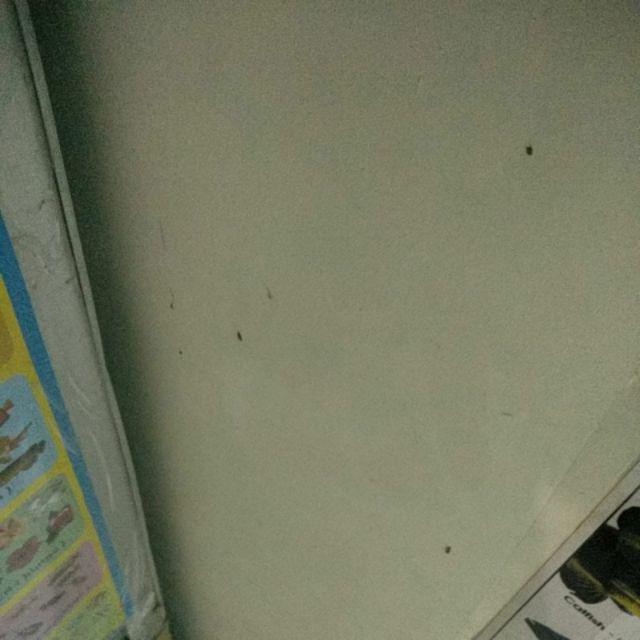 Face Shield Pelindung Wajah Ready Harga Grosir