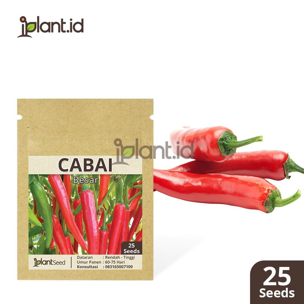 Benih Biji Cabai Besar
