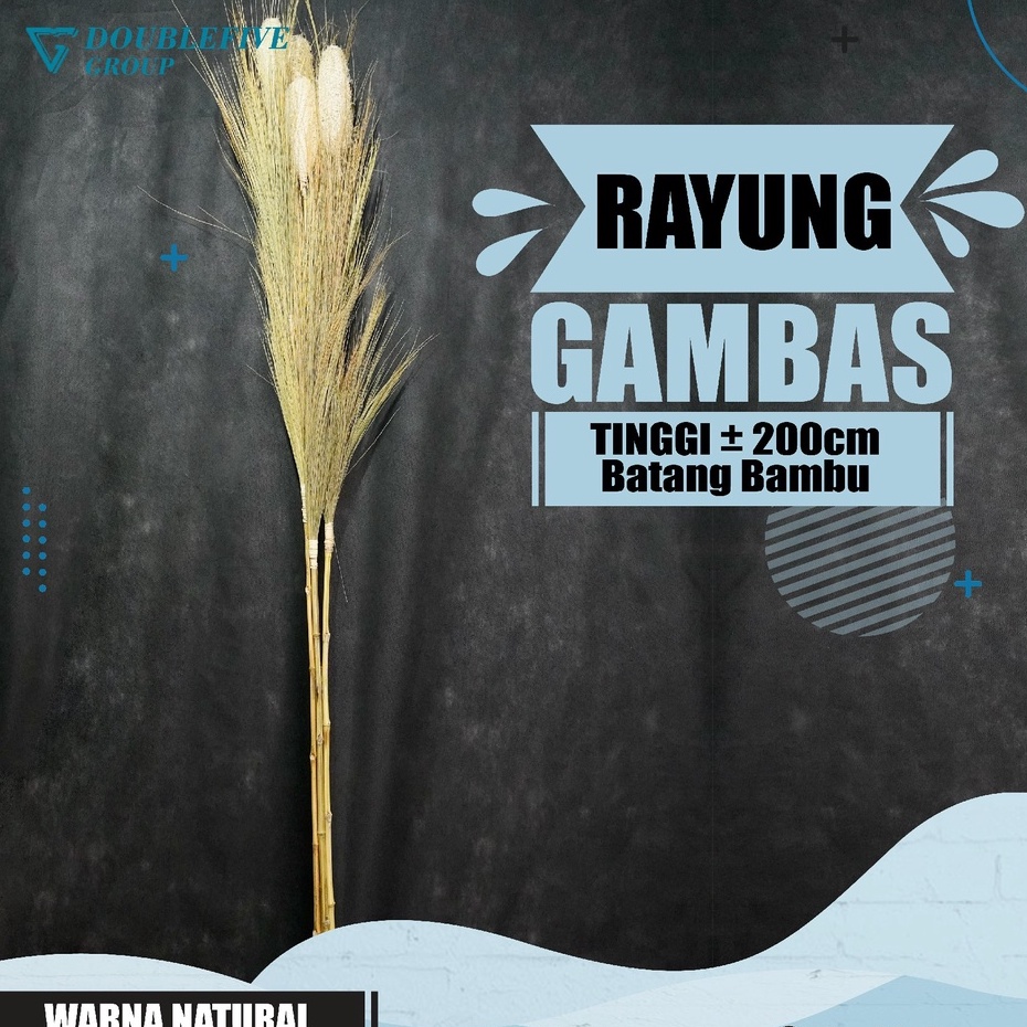 Rayung Home Decor Rayung Kering Panjang Rayung Natural Rayung Rustic Dekorasi Rayung Pampas - PUTIH